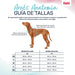 Dog Harness Company of Animals Turquoise S 28-42 cm - Домашни Животни<<<Дом Градина<<<BigBuy&&&Пътуване и