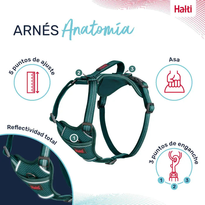 Dog Harness Company of Animals Turquoise S 28-42 cm - Домашни Животни<<<Дом Градина<<<BigBuy&&&Пътуване и