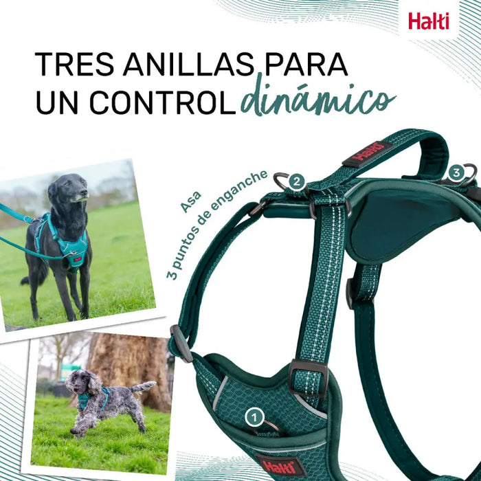 Dog Harness Company of Animals Turquoise XL 50-78 cm - Домашни Животни<<<Дом Градина<<<BigBuy&&&Пътуване и