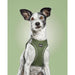 Dog Harness Gloria 28-28,6 cm Green XXS 24-26 cm - Домашни Животни<<<Дом Градина<<<BigBuy&&&Пътуване и