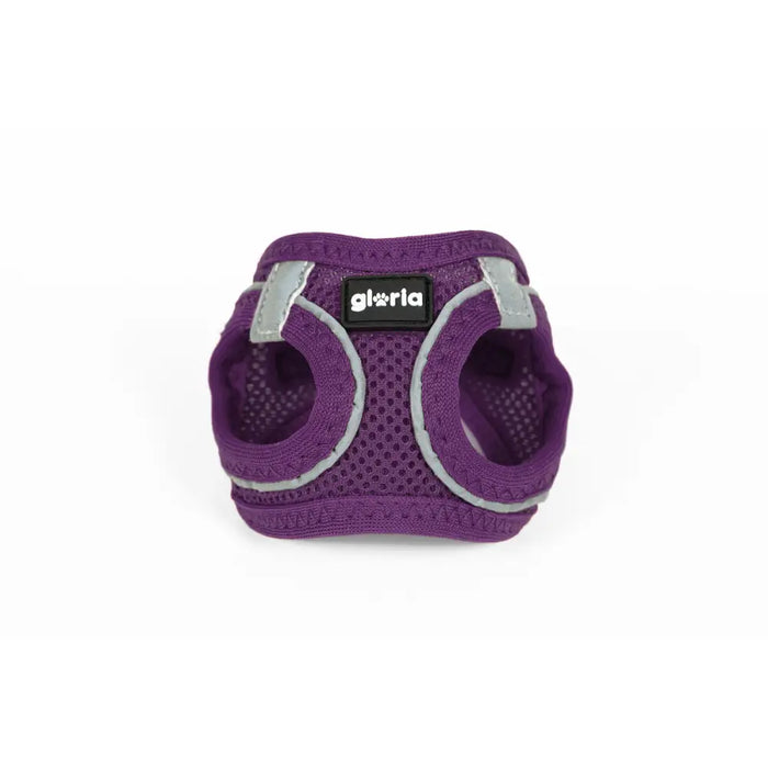 Dog Harness Gloria Trek Star 24-26 cm 28-28,6 cm Purple XXS - Домашни Животни<<<Дом Градина<<<BigBuy&&&Пътуване и