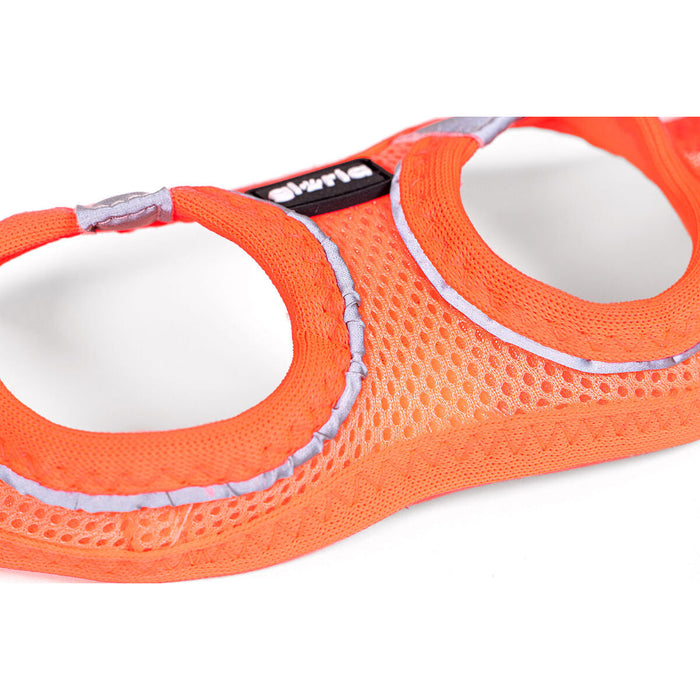 Dog Harness Gloria Trek Star 29,4-32,6 cm 41,4-43 cm Orange S - Домашни Животни<<<Дом Градина<<<BigBuy&&&Пътуване и