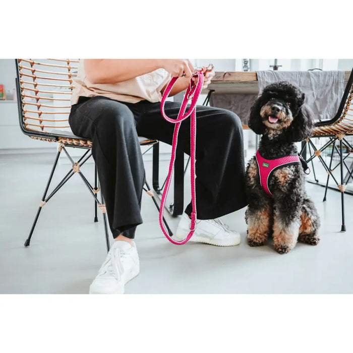 Dog Harness Hunter Comfort Fuchsia XS 35-37 cm - Домашни Животни<<<Дом Градина<<<BigBuy&&&Пътуване и разходки<<<Домашни