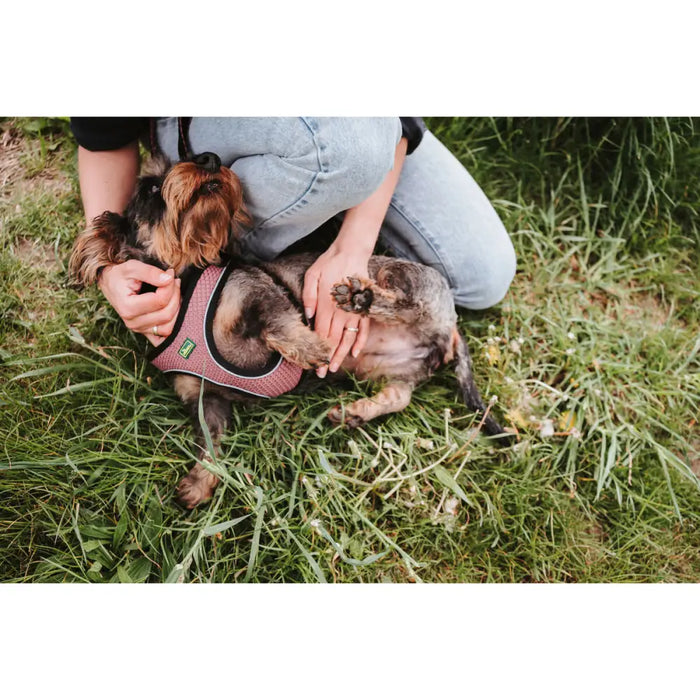 Dog Harness Hunter Comfort Pink XXS 26-30 cm - Домашни Животни<<<Дом Градина<<<BigBuy&&&Пътуване и разходки<<<Домашни