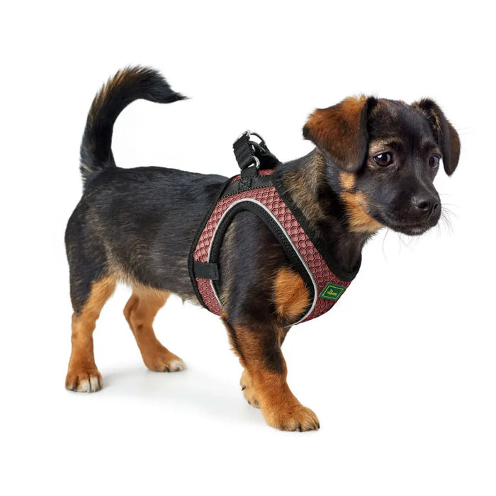 Dog Harness Hunter Comfort Pink XXS 26-30 cm - Домашни Животни<<<Дом Градина<<<BigBuy&&&Пътуване и разходки<<<Домашни