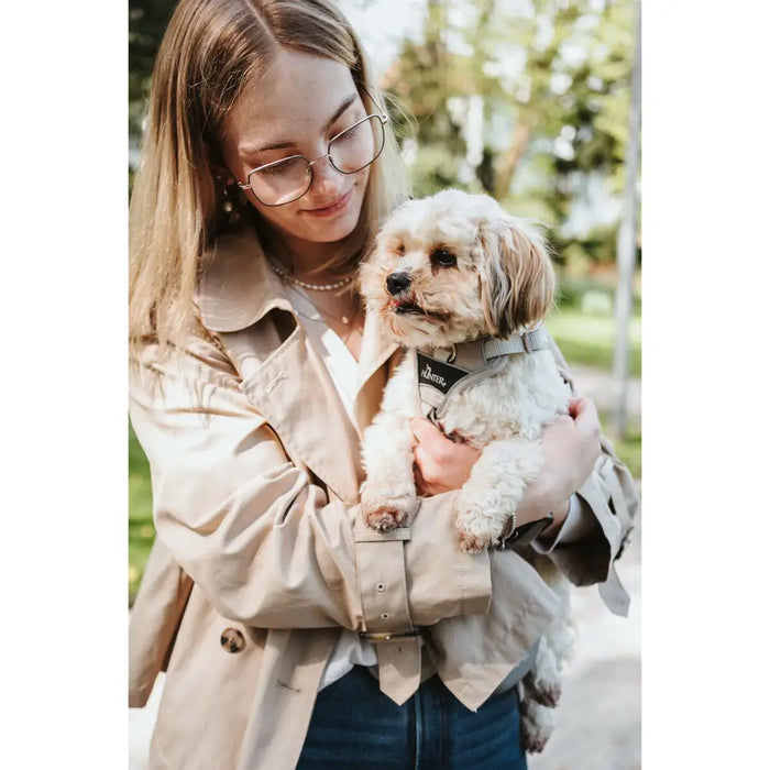 Dog Harness Hunter DIVO UP Beige L - Домашни Животни<<<Дом Градина<<<BigBuy&&&Пътуване и разходки<<<Домашни