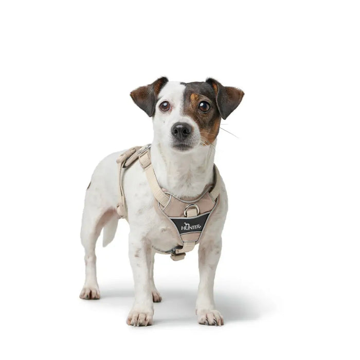 Dog Harness Hunter DIVO UP Beige L - Домашни Животни<<<Дом Градина<<<BigBuy&&&Пътуване и разходки<<<Домашни