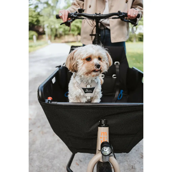 Dog Harness Hunter DIVO UP Beige S/M - Домашни Животни<<<Дом Градина<<<BigBuy&&&Пътуване и разходки<<<Домашни