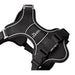 Dog Harness Hunter DIVO UP Black S - Домашни Животни<<<Дом Градина<<<BigBuy&&&Пътуване и разходки<<<Домашни