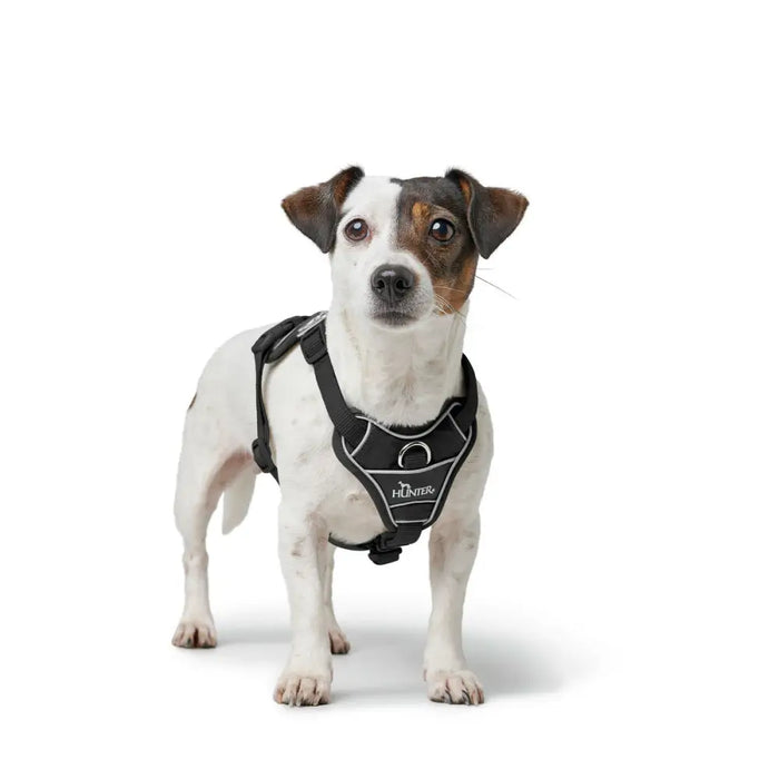 Dog Harness Hunter DIVO UP Black S - Домашни Животни<<<Дом Градина<<<BigBuy&&&Пътуване и разходки<<<Домашни