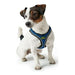 Dog Harness Hunter Hilo-Comfort Blue Size XXS (26-30 cm) - Домашни Животни<<<Дом Градина<<<BigBuy&&&Пътуване и