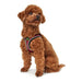 Dog Harness Hunter Hilo-Comfort Red Size M (55-60 cm) - Домашни Животни<<<Дом Градина<<<BigBuy&&&Пътуване и