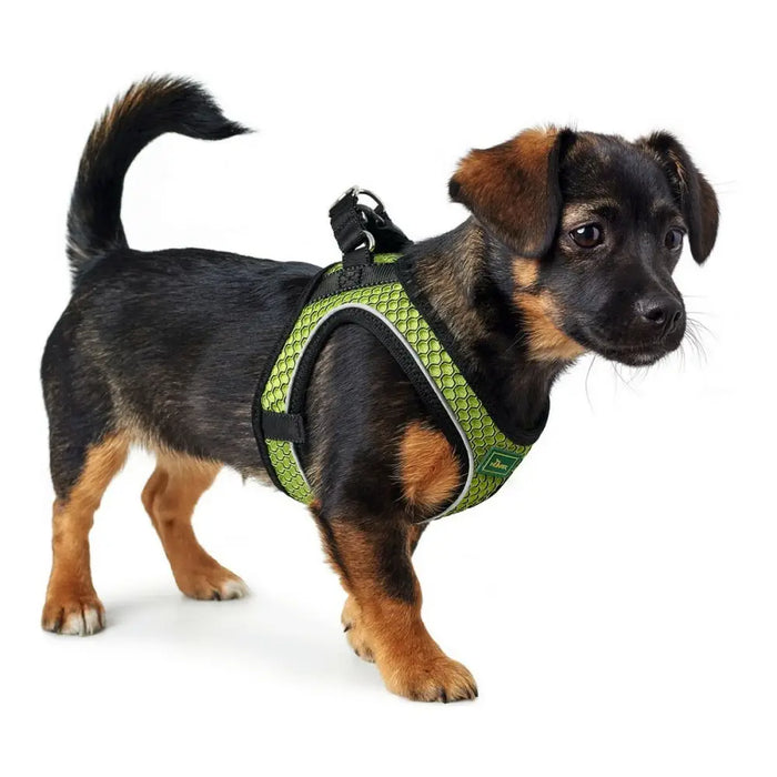 Dog Harness Hunter Hilo-Comfort XS-S Lime (37-42 cm) - Домашни Животни<<<Дом Градина<<<BigBuy&&&Пътуване и