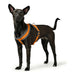 Dog Harness Hunter London Comfort Orange S/M 52-62 cm - Домашни Животни<<<Дом Градина<<<BigBuy&&&Пътуване и