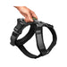 Dog Harness Hunter Maldon Up Black 46-82 cm S/M - Домашни Животни<<<Дом Градина<<<BigBuy&&&Пътуване и