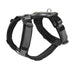 Dog Harness Hunter Maldon Up Black 46-82 cm S/M - Домашни Животни<<<Дом Градина<<<BigBuy&&&Пътуване и