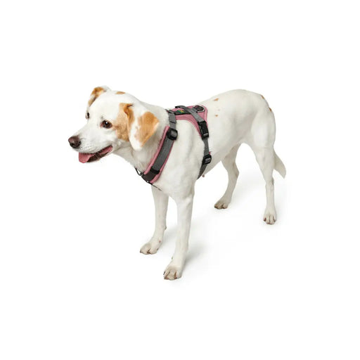 Dog Harness Hunter Maldon Up Pink 46-82 cm S/M - Домашни Животни<<<Дом Градина<<<BigBuy&&&Пътуване и разходки<<<Домашни