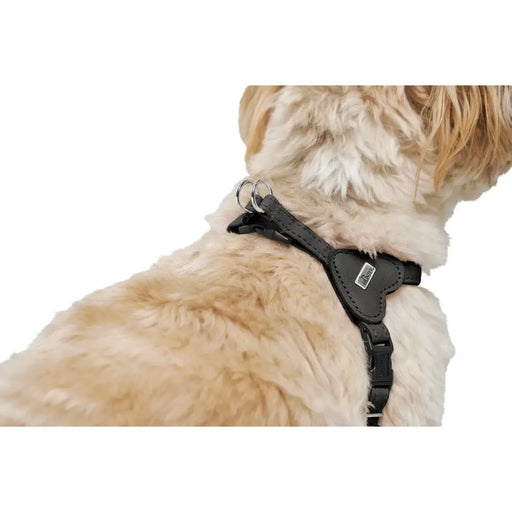 Dog Harness Hunter SOHO MINI Black XS/S - Домашни Животни<<<Дом Градина<<<BigBuy&&&Пътуване и разходки<<<Домашни