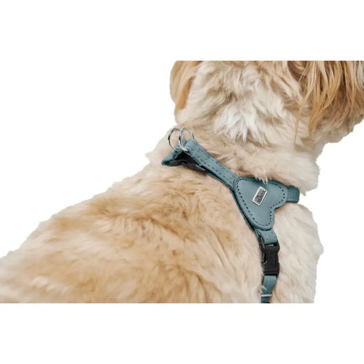 Dog Harness Hunter SOHO MINI Blue XXS/XS - Домашни Животни<<<Дом Градина<<<BigBuy&&&Пътуване и разходки<<<Домашни