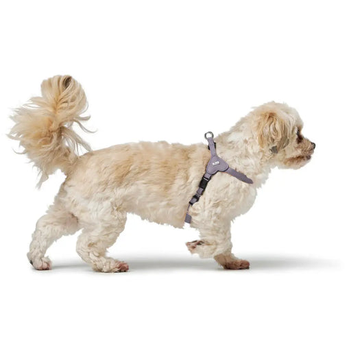 Dog Harness Hunter SOHO MINI Lilac - Домашни Животни<<<Дом Градина<<<BigBuy&&&Пътуване и разходки<<<Домашни