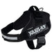 Dog Harness Julius K9 IDC Black XL 3 - Домашни Животни<<<Дом Градина<<<BigBuy&&&Пътуване и разходки<<<Домашни
