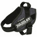 Dog Harness Julius K9 IDC Cowboy M - Домашни Животни<<<Дом Градина<<<BigBuy&&&Пътуване и разходки<<<Домашни