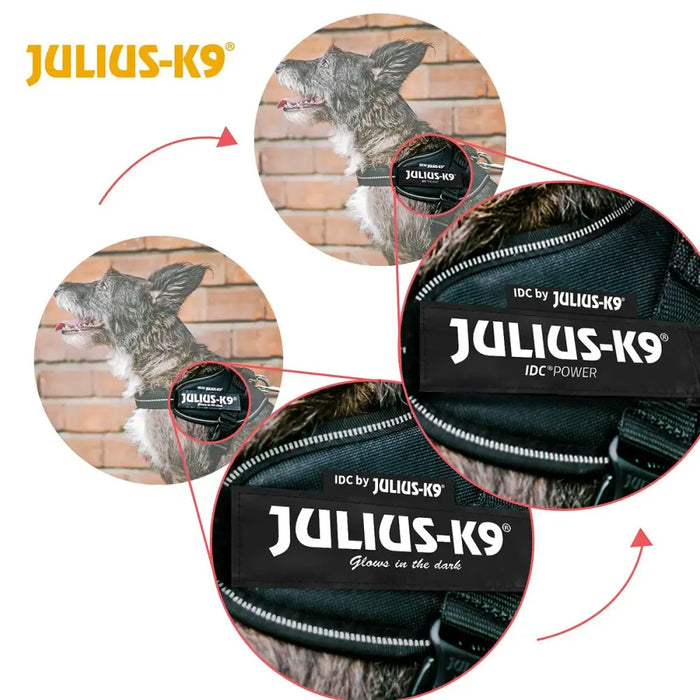 Dog Harness Julius K9 IDC Cowboy M/L - Домашни Животни<<<Дом Градина<<<BigBuy&&&Пътуване и разходки<<<Домашни