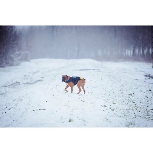 Dog Harness Julius K9 IDC L/XL 2 - Домашни Животни<<<Дом Градина<<<BigBuy&&&Пътуване и разходки<<<Домашни Животни<<<Дом