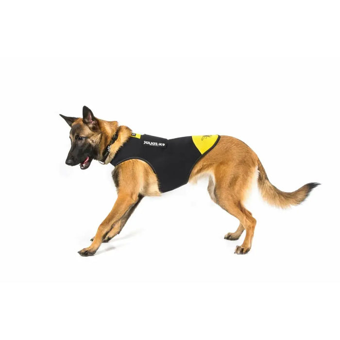 Dog Harness Julius K9 IDC L/XL 2 - Домашни Животни<<<Дом Градина<<<BigBuy&&&Пътуване и разходки<<<Домашни Животни<<<Дом