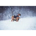 Dog Harness Julius K9 IDC L/XL 2 - Домашни Животни<<<Дом Градина<<<BigBuy&&&Пътуване и разходки<<<Домашни Животни<<<Дом