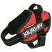 Dog Harness Julius K9 IDC Red S - Mini - Домашни Животни<<<Дом Градина<<<BigBuy&&&Пътуване и разходки<<<Домашни