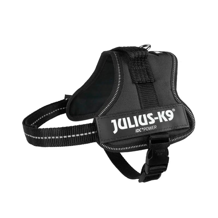 Dog Harness Julius K9 Power Black S - Домашни Животни<<<Дом Градина<<<BigBuy&&&Пътуване и разходки<<<Домашни