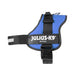 Dog Harness Julius K9 Power Blue XL 3 - Домашни Животни<<<Дом Градина<<<BigBuy&&&Пътуване и разходки<<<Домашни