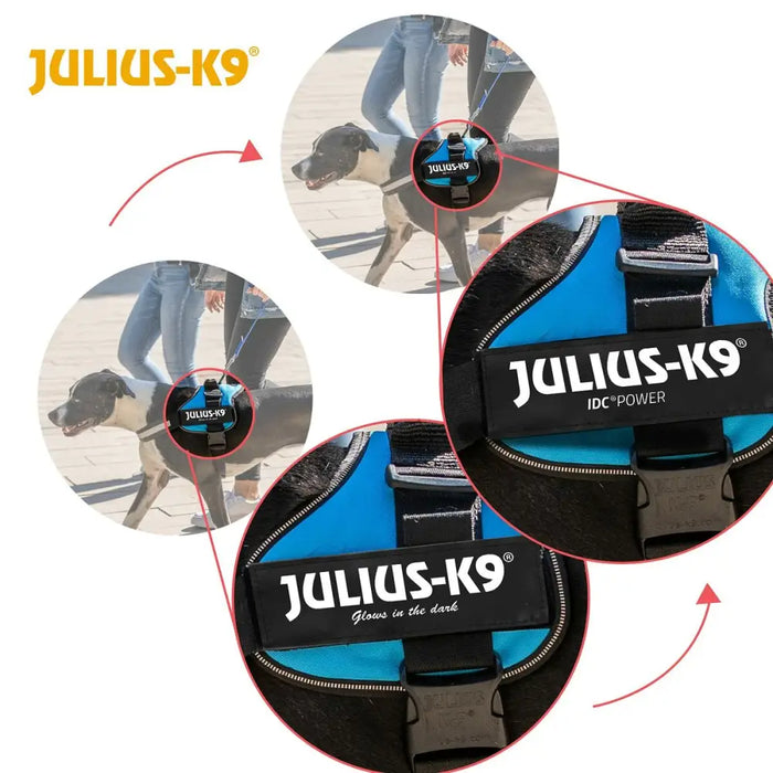 Dog Harness Julius K9 Power Blue XL 3 - Домашни Животни<<<Дом Градина<<<BigBuy&&&Пътуване и разходки<<<Домашни