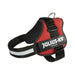Dog Harness Julius K9 Power Red L/XL 2 - Домашни Животни<<<Дом Градина<<<BigBuy&&&Пътуване и разходки<<<Домашни