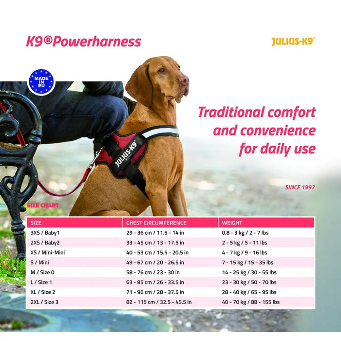 Dog Harness Julius K9 Power S - Домашни Животни<<<Дом Градина<<<BigBuy&&&Пътуване и разходки<<<Домашни Животни<<<Дом