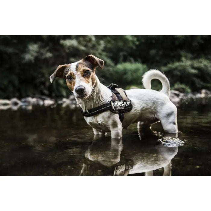 Dog Harness Julius K9 Power XL 3 - Пътуване и разходки<<<Домашни Животни<<<Дом Градина<<<BigBuy