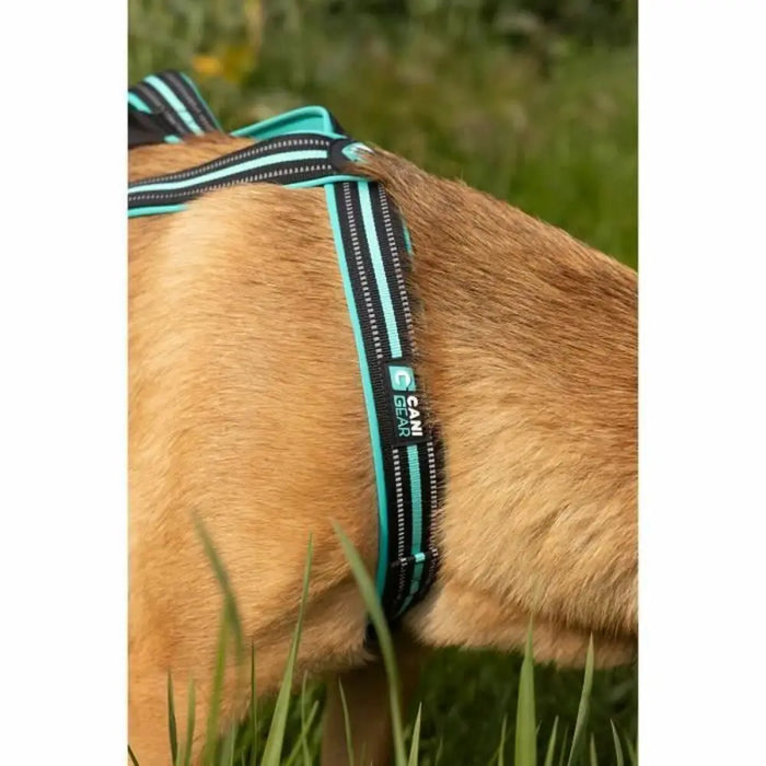Dog Harness Olympia M - Домашни Животни<<<Дом Градина<<<BigBuy&&&Пътуване и разходки<<<Домашни Животни<<<Дом