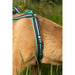 Dog Harness Olympia M - Домашни Животни<<<Дом Градина<<<BigBuy&&&Пътуване и разходки<<<Домашни Животни<<<Дом