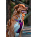 Dog Harness Red Dingo Dingo 25-36 cm 31-43 cm Purple XS - Домашни Животни<<<Дом Градина<<<BigBuy&&&Пътуване и