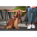 Dog Harness Red Dingo Dingo 25-36 cm 31-43 cm Purple XS - Домашни Животни<<<Дом Градина<<<BigBuy&&&Пътуване и