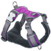 Dog Harness Red Dingo Dingo 25-36 cm 31-43 cm Purple XS - Домашни Животни<<<Дом Градина<<<BigBuy&&&Пътуване и