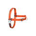 Dog Harness Red Dingo 30-42 cm Orange XS - Домашни Животни<<<Дом Градина<<<BigBuy&&&Пътуване и разходки<<<Домашни