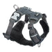 Dog Harness Red Dingo Padded Grey XS size - Домашни Животни<<<Дом Градина<<<BigBuy&&&Пътуване и разходки<<<Домашни