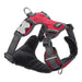Dog Harness Red Dingo Padded Red M - Домашни Животни<<<Дом Градина<<<BigBuy&&&Пътуване и разходки<<<Домашни