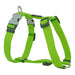 Dog Harness Red Dingo Smooth 25-39 cm Lime - Домашни Животни<<<Дом Градина<<<BigBuy&&&Пътуване и разходки<<<Домашни