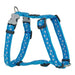 Dog Harness Red Dingo Style Blue Star 30-48 cm - Домашни Животни<<<Дом Градина<<<BigBuy&&&Пътуване и разходки<<<Домашни