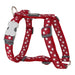 Dog Harness Red Dingo Style Red Star 30-48 cm - Домашни Животни<<<Дом Градина<<<BigBuy&&&Пътуване и разходки<<<Домашни
