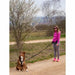 Dog Harness SYMBIOZ Black M - Домашни Животни<<<Дом Градина<<<BigBuy&&&Пътуване и разходки<<<Домашни Животни<<<Дом