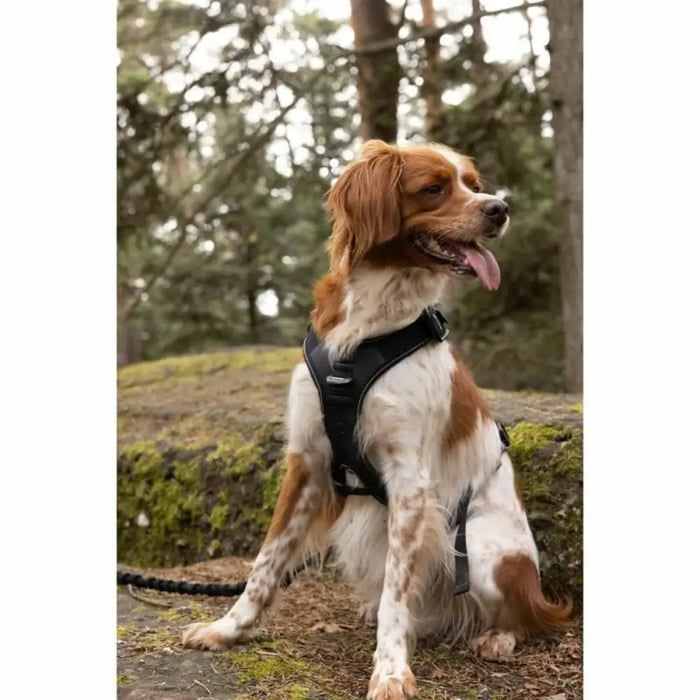 Dog Harness SYMBIOZ Black S - Домашни Животни<<<Дом Градина<<<BigBuy&&&Пътуване и разходки<<<Домашни Животни<<<Дом